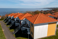 DJI_0445