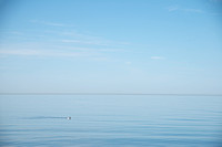 Calm - Bornholm by Anders Beier