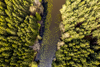 Rø Plantage from above - Bornholm by Anders Beier