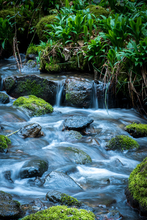 _DSC8427